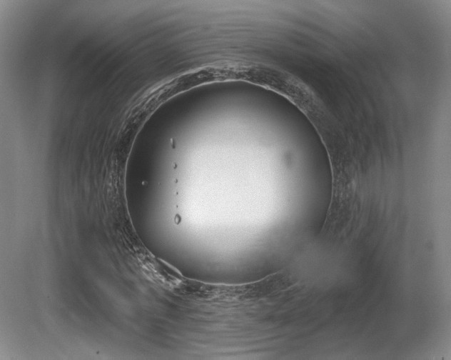 X0000080670773200612151156