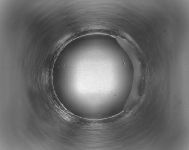 X0000080670777200612151156