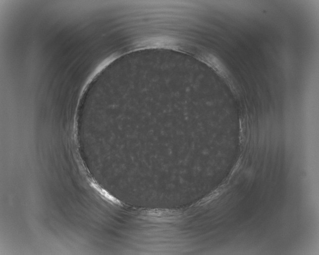 X0000080670780200612151156