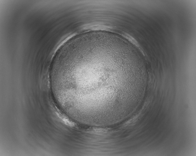 X0000080670782200612151156