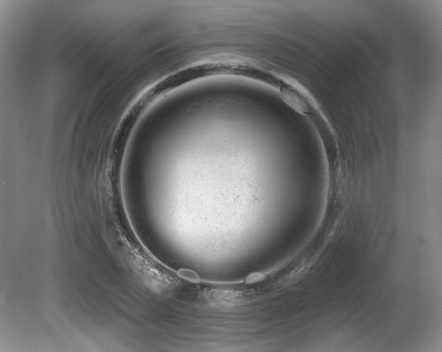 X0000080670783200612151156