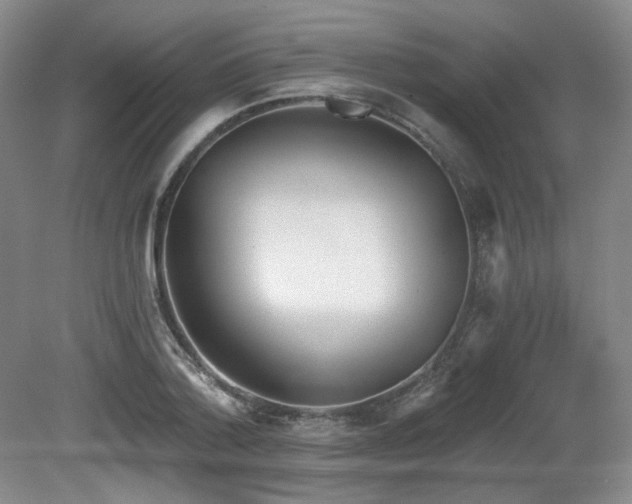 X0000080670788200612151156