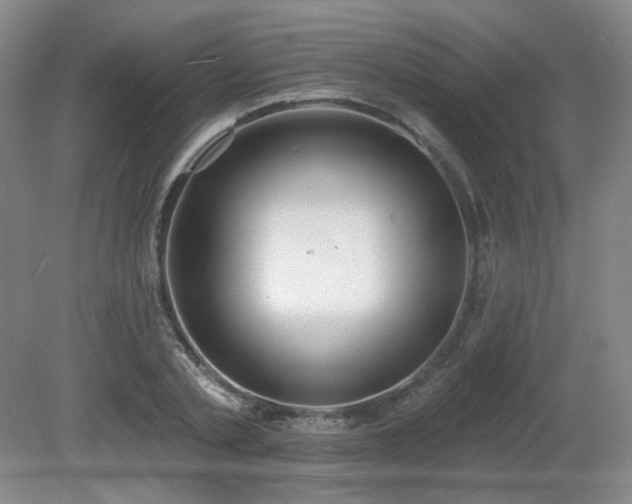 X0000080670789200612151155