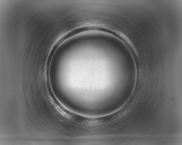 X0000080670791200612151155