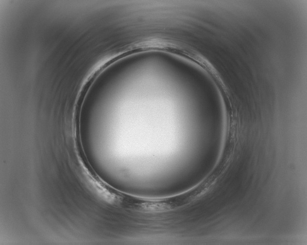 X0000080670795200612151155