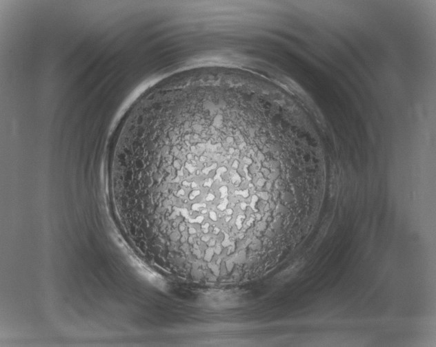 X0000080670796200612151155