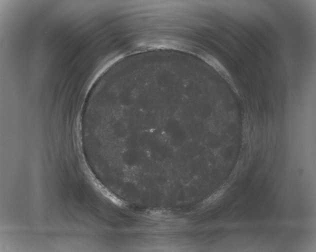 X0000080670798200612151155