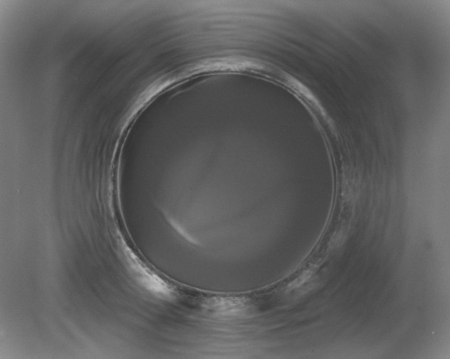 X0000080670802200612151155
