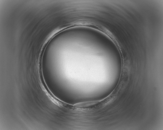 X0000080670803200612151155