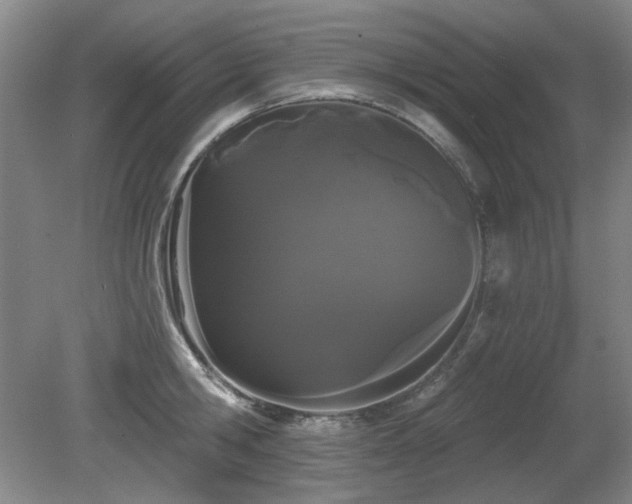 X0000080670806200612151155