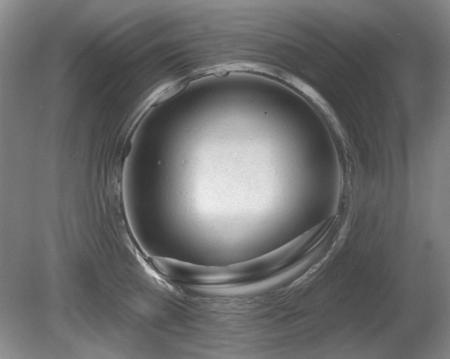 X0000080670809200612151155