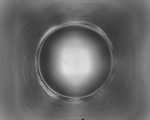 X0000080670811200612151155