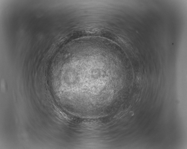 X0000080670817200612151154