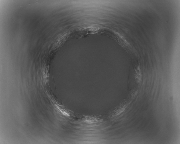 X0000080670818200612151154