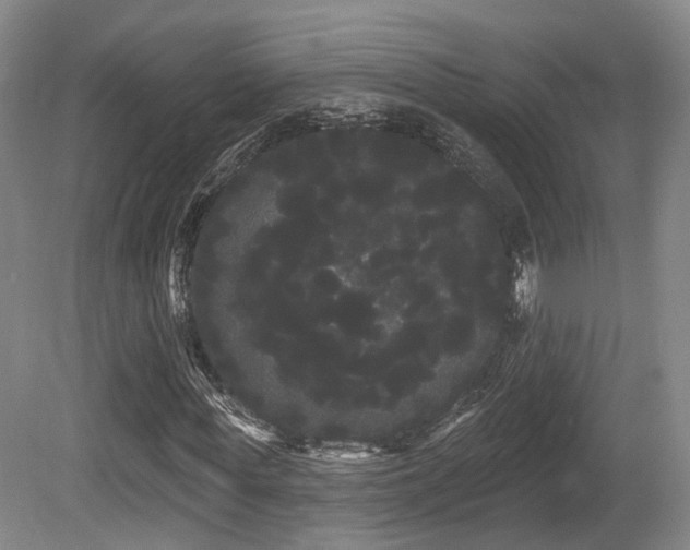 X0000080670819200612151154