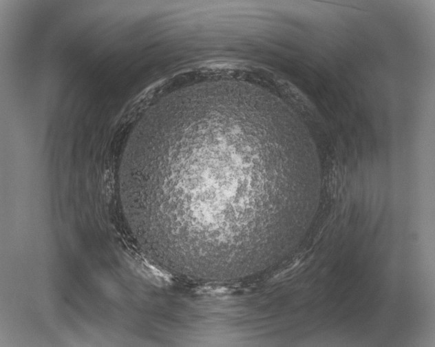 X0000080670821200612151154