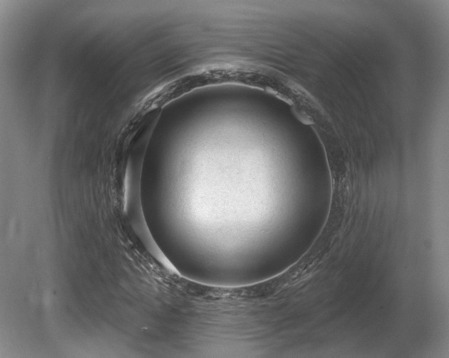 X0000080670822200612151154