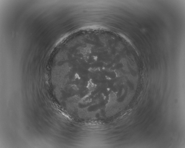 X0000080670823200612151154