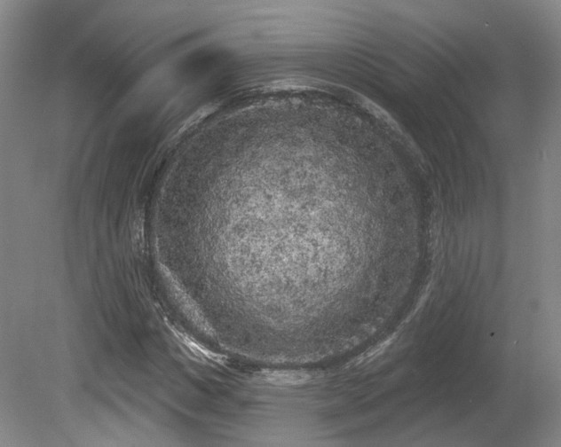 X0000080670825200612151154