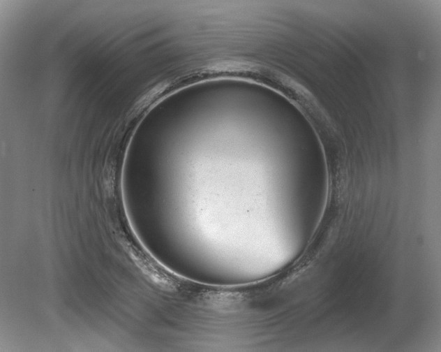 X0000080670833200612151155