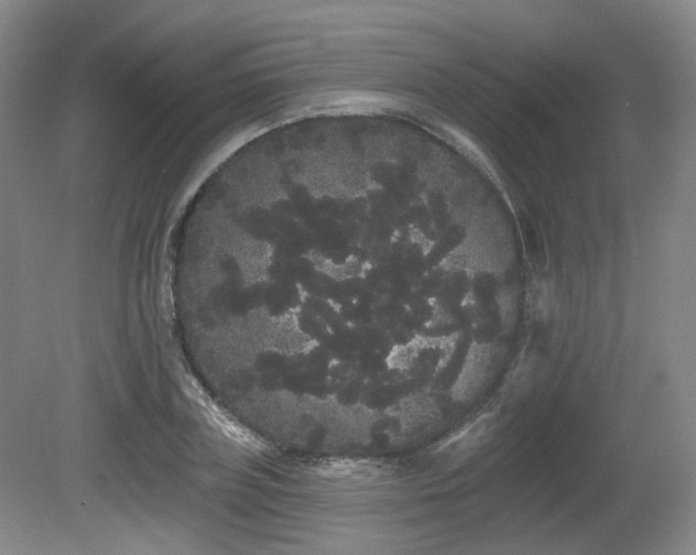 X0000080670835200612151155