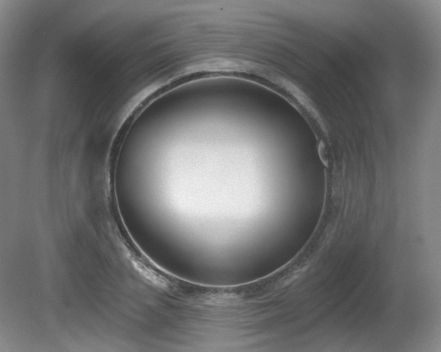X0000080670837200612151155