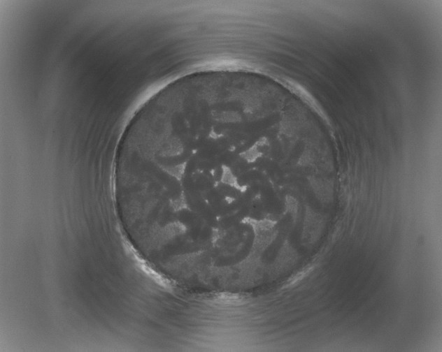 X0000080670839200612151155