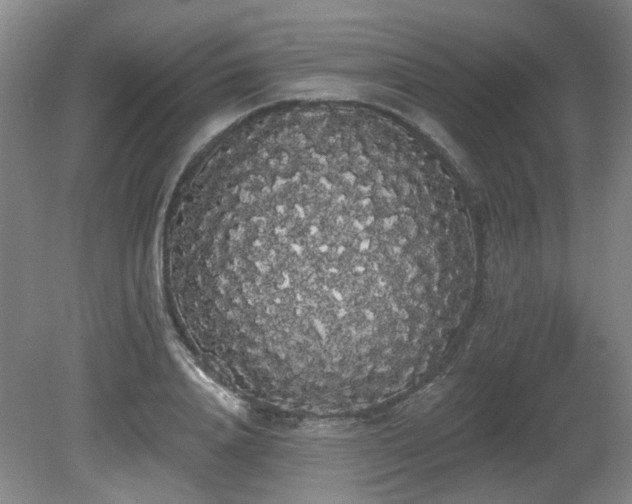 X0000080670840200612151155