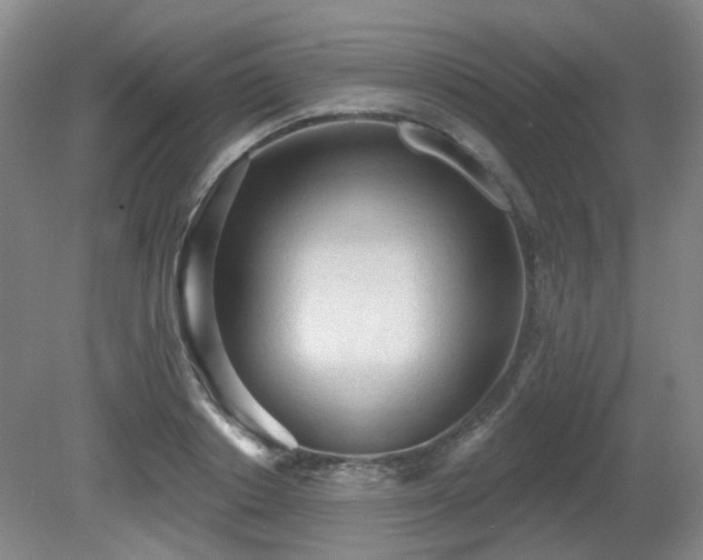 X0000080670842200612151155
