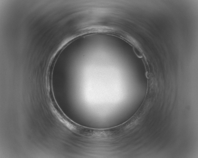 X0000080670843200612151155