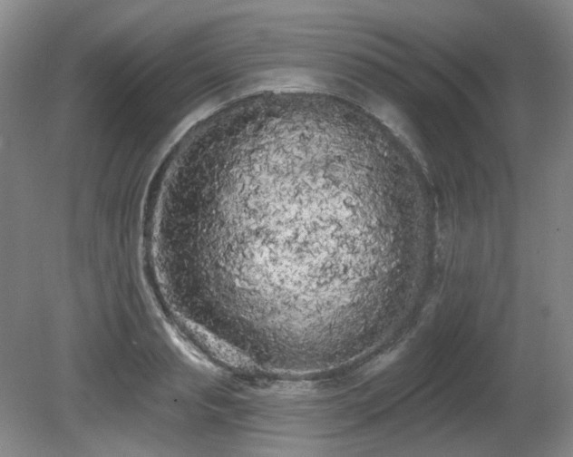X0000080670845200612151155