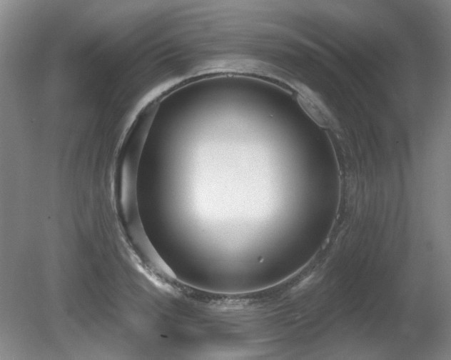 X0000080670846200612151155