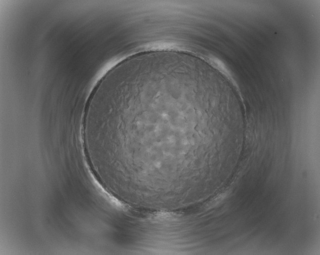 X0000080670847200612151155