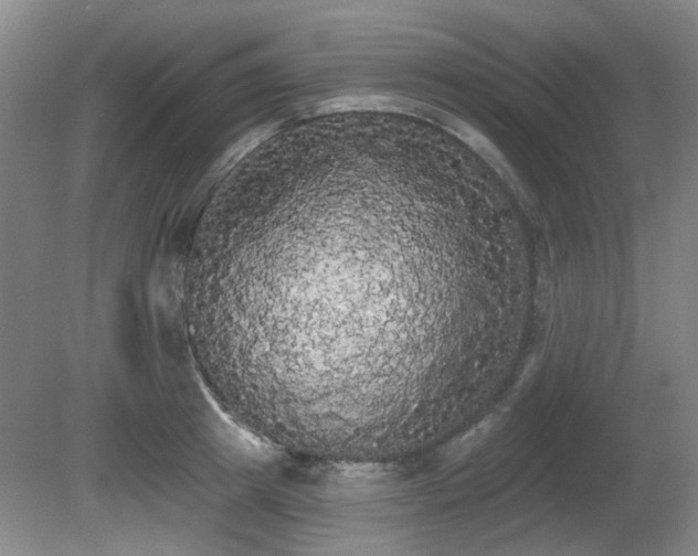 X0000080670849200612151155
