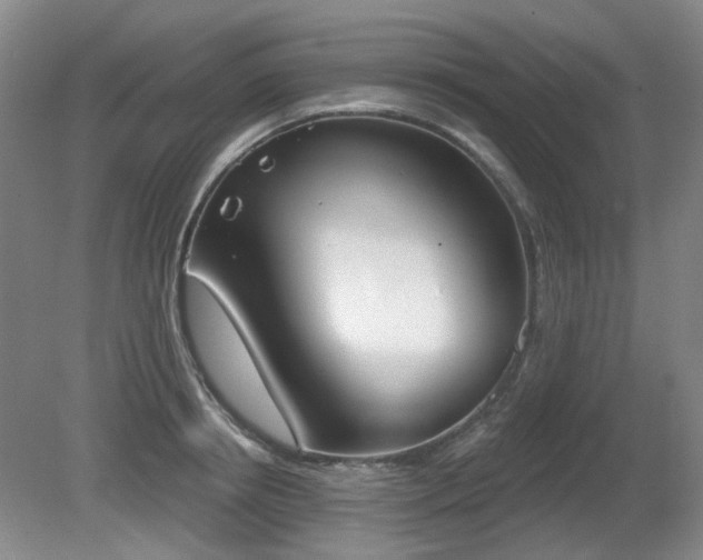 X0000080670850200612151155