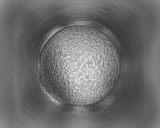 X0000080670852200612151155