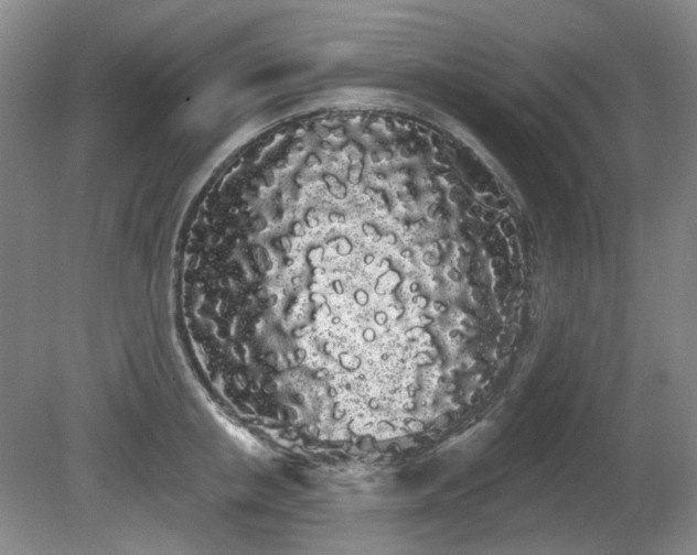 X0000080670853200612151155