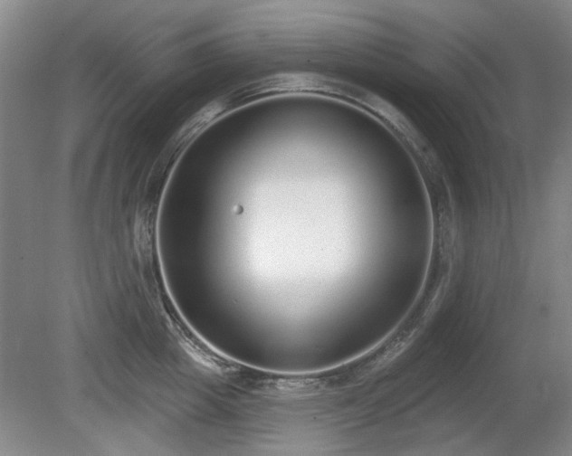 X0000080670857200612151155