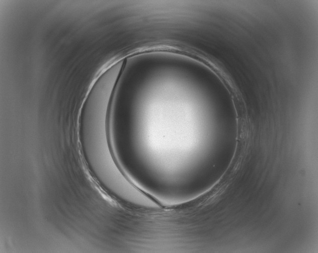 X0000080670858200612151155