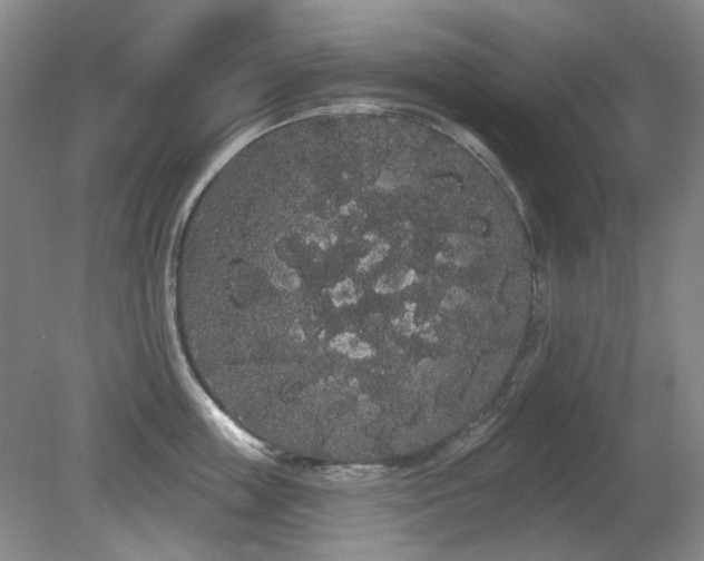 X0000080670859200612151155