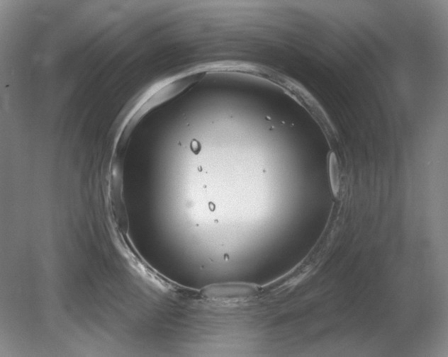 X0000080670860200612151155