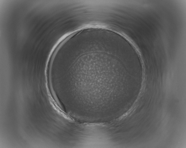 X0000080670864200612151155