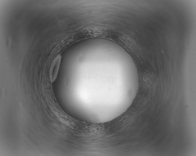 X0000080670865200612151154