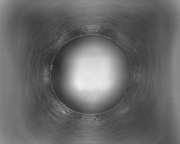 X0000080670866200612151154