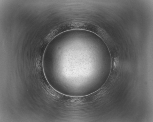 X0000080670867200612151154