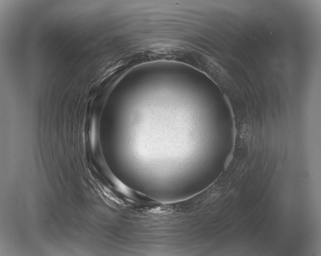 X0000080670868200612151154