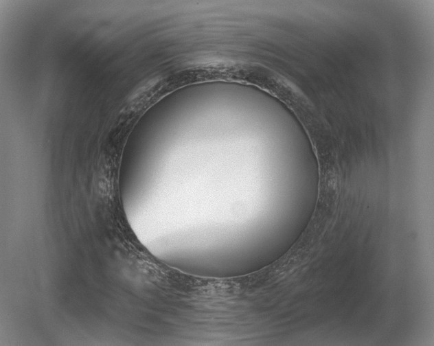 X0000080670869200612151154