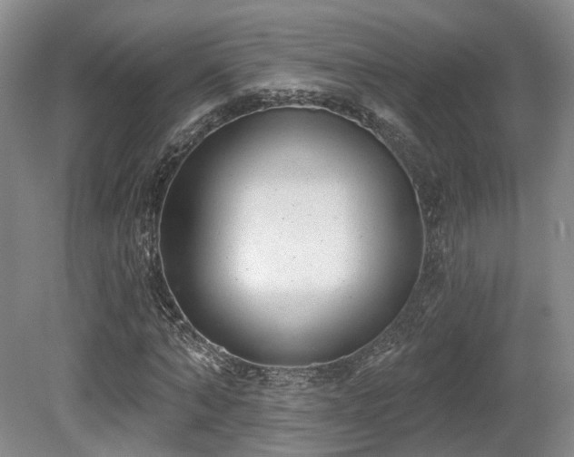 X0000080670870200612151154