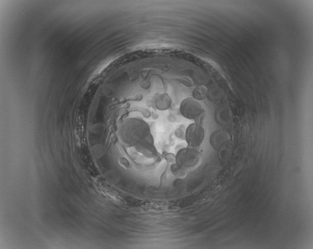 X0000080670871200612151154