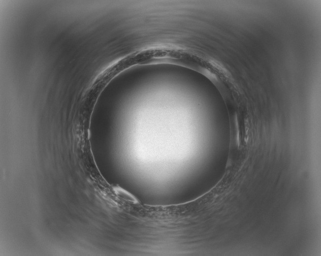 X0000080670872200612151154